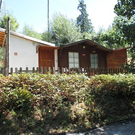 Bungalow "A Choupana" - Quinta Da Carvoica - Vale Pradinhos Vale de Pradinhos Kültér fotó