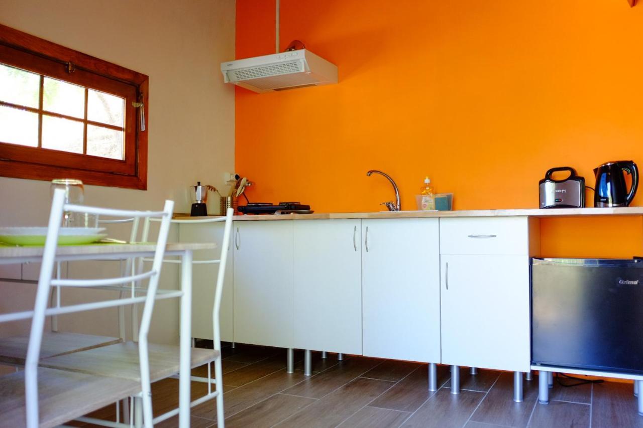 Bungalow "A Choupana" - Quinta Da Carvoica - Vale Pradinhos Vale de Pradinhos Kültér fotó