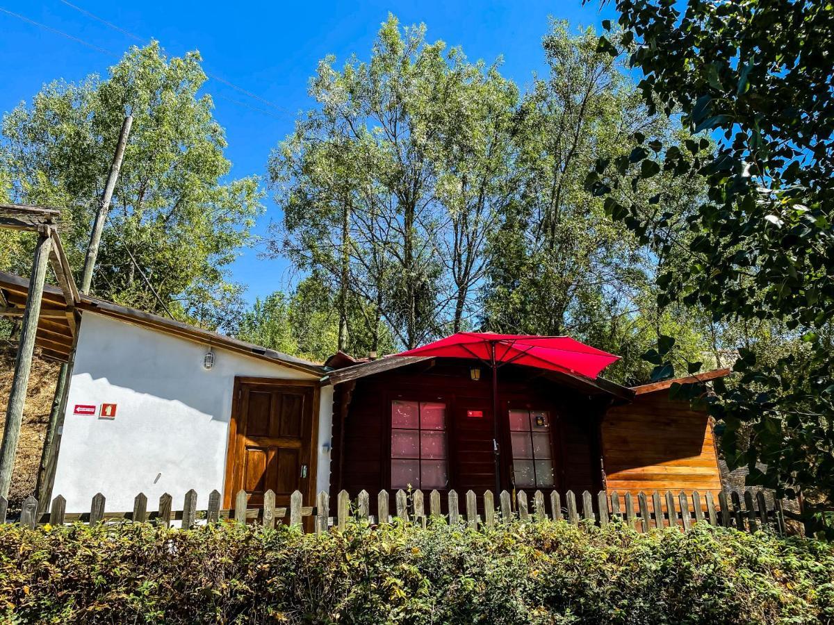 Bungalow "A Choupana" - Quinta Da Carvoica - Vale Pradinhos Vale de Pradinhos Kültér fotó