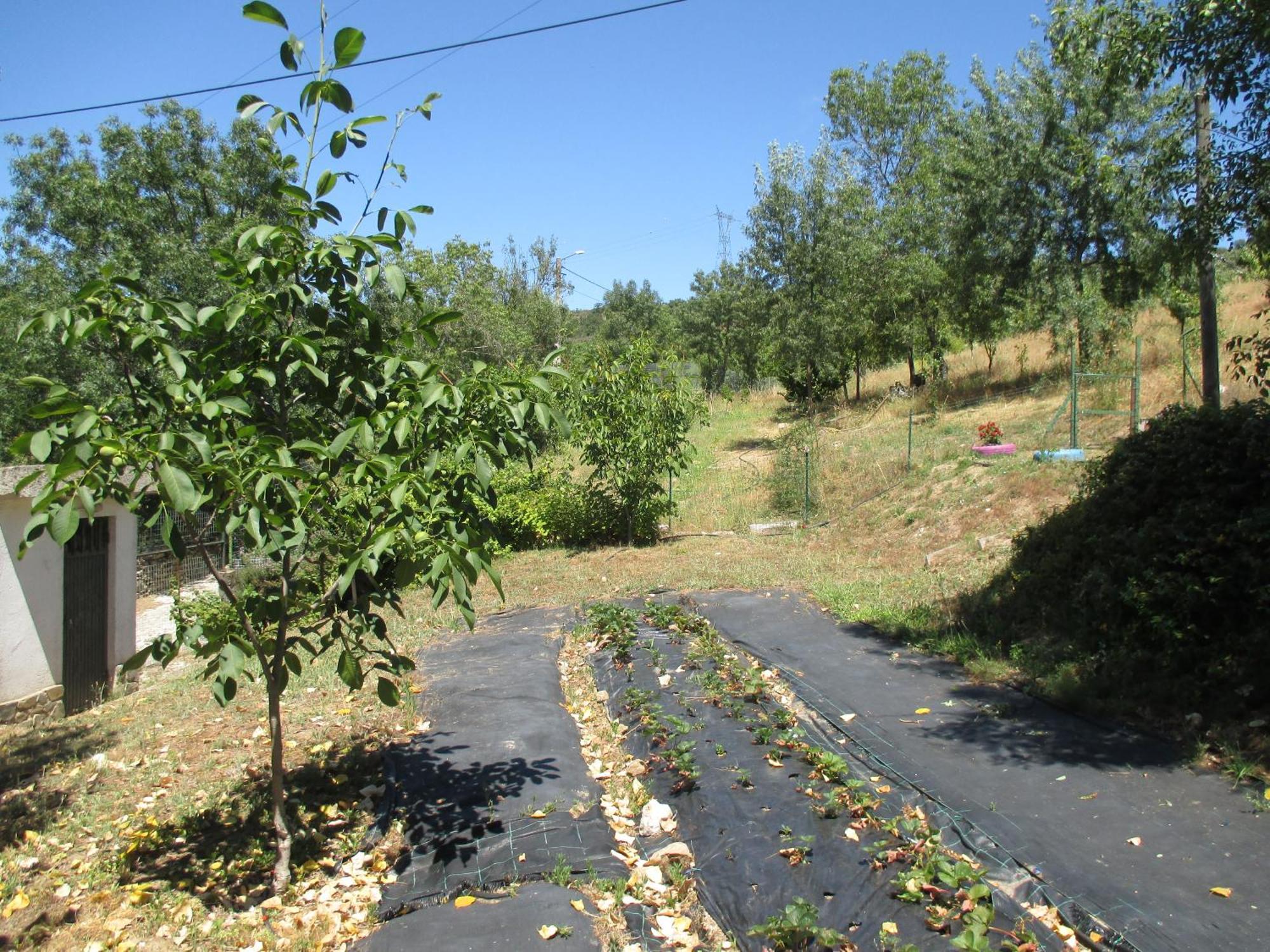 Bungalow "A Choupana" - Quinta Da Carvoica - Vale Pradinhos Vale de Pradinhos Kültér fotó