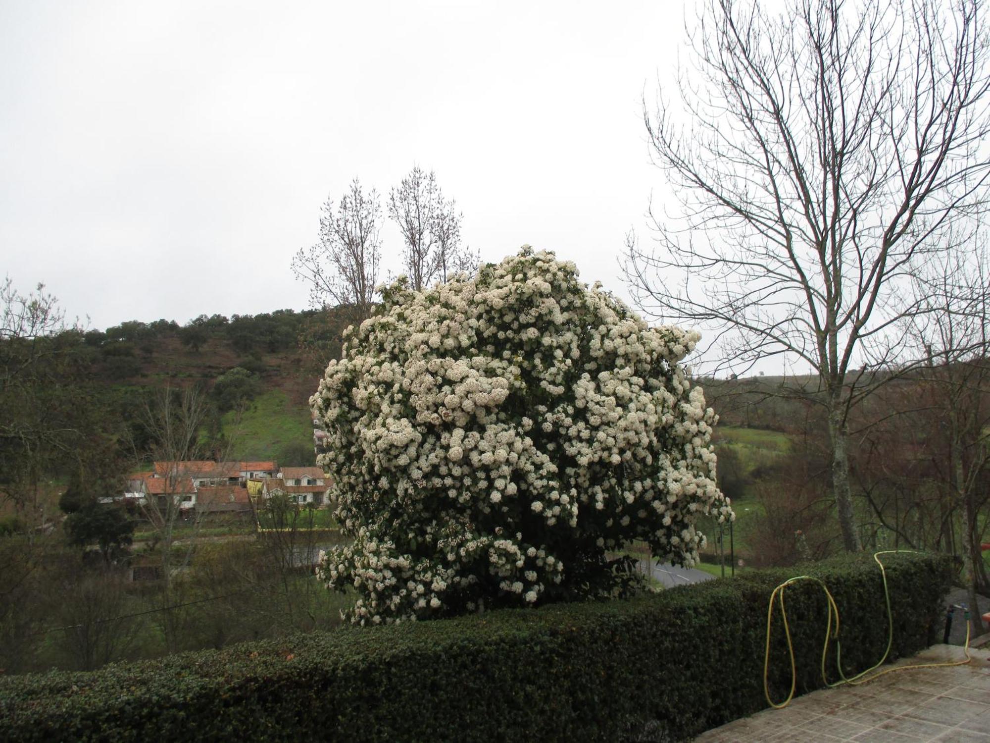 Bungalow "A Choupana" - Quinta Da Carvoica - Vale Pradinhos Vale de Pradinhos Kültér fotó