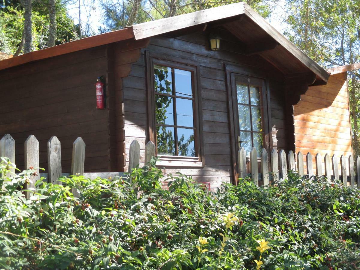 Bungalow "A Choupana" - Quinta Da Carvoica - Vale Pradinhos Vale de Pradinhos Kültér fotó